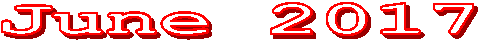 Rogue Runner